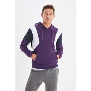 Trendyol Men's Purple Regular Fit Long Sleeve Hooded Paneled Sweatshirt