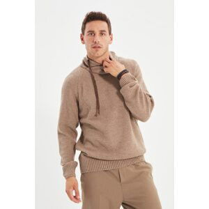 Trendyol Mink Men's Slim Fit Battery Collar Sweater