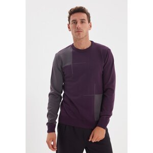 Trendyol Dark Purple Men's Crew Neck Slim Fit Knitwear Sweater