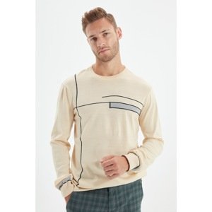 Trendyol Beige Men's Crew Neck Regular Fit Knitwear Sweater