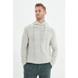 Trendyol Beige Men's Slim Fit Shawl Collar Hair Knitting Knitwear Sweater