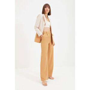 Trendyol Mink Pleated Wide Leg Trousers