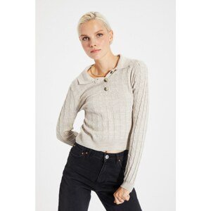Trendyol Stone Polo Collar Knitted Detailed Knitwear Sweater