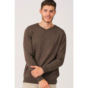 V0036 DEWBERRY MEN'S V-NECK SWEATER-VIZON