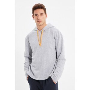 Trendyol Gray Men's Hoodie Regular Fit Sweatshirt
