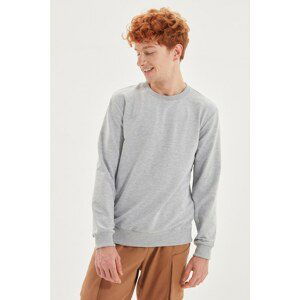 Trendyol Gray Men's Regular Fit Crew Neck Sweatshirt