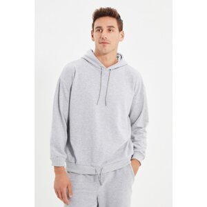 Trendyol Gray Men's Regular Fit Sweatshirt
