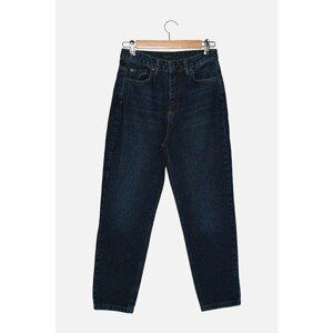 Trendyol Indigo Petite High Waist Mom Jeans