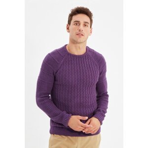 Trendyol Purple Men's Textured Raglan Sleeve Knitwear Sweater