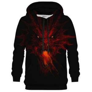 Bittersweet Paris Unisex's Fire Dragon Hoodie H-K Bsp780