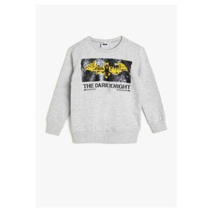 Koton Gray Boys Sweatshirt