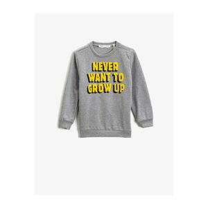 Koton Boys Gray Sweatshirt