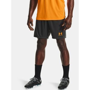 Under Armour Shorts Challenger Knit Short-GRY