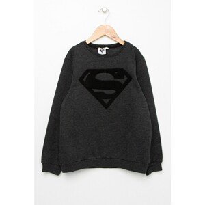 Koton Boys Gray Superman Licensed Sweatshirt