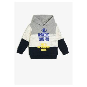 Koton Boys Gray Sweatshirt