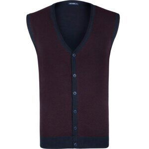 V0692 DEWBERRY DIO RISE MEN'S VEST-BURGUNDY