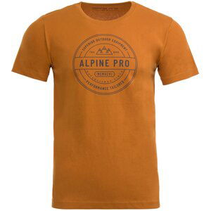 Alpine For T-shirt Jael - Men's