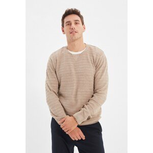 Trendyol Beige Men's Crew Neck Regular Fit Knitwear Sweater