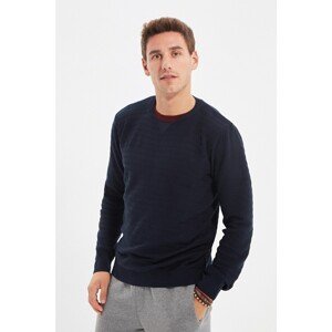 Trendyol Navy Blue Men's Crew Collar Regular Fit Knitwear Sweater