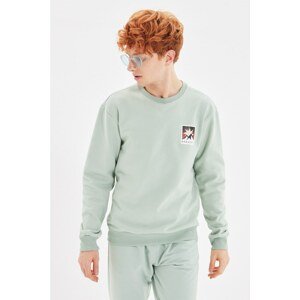 Trendyol Mint Men's Regular/Normal Fit Crewneck Sweatshirt