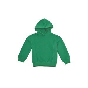 Trendyol Green Basic Hooded Boy with Fleece Fleece Knitted Thick Sweatshirt