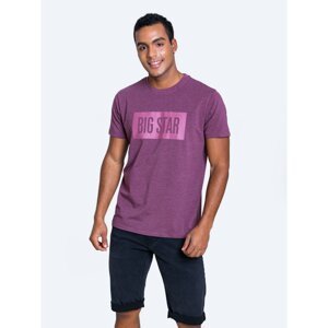 Big Star Man's T-shirt_ss T-shirt 152046 Burgundy Knitted-604