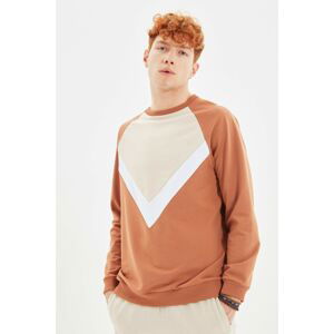 Trendyol Camel Men Regular Fit Long Sleeve Crew Neck Paneled Sweatshirt