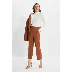 Trendyol Brown Basic Trousers