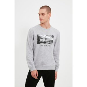 Trendyol Gray Men's Regular Fit Long Sleeve Crew Neck Printed Sweatshirt