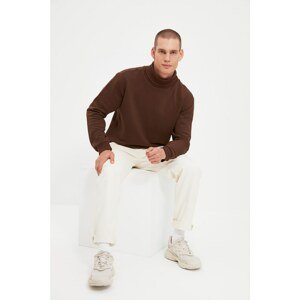 Trendyol Brown Basic Men's Regular/Regular Cut, Turtleneck Sweatshirt