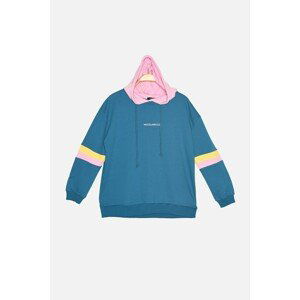 Trendyol Blue Embroidered Basic Hoodie Sports Sweatshirt