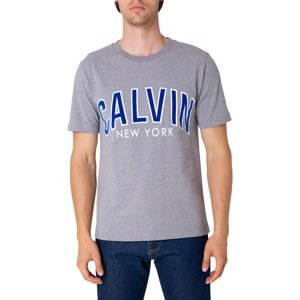 Calvin Klein T-shirt Eo/ Calvin Curved Ss, P7D - Men's