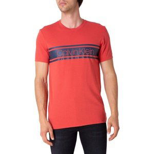 Calvin Klein T-shirt Ss Crew Neck, 4Aw - Men's