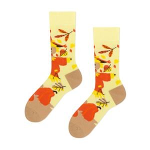 Ponožky Frogies Autumn
