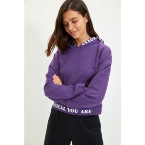 Trendyol Purple Hooded and Raised Basic Knitted Sweatshirt