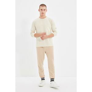 Trendyol Beige Men Regular Fit Thick Sweatpants Sweatpants