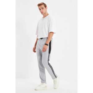 Trendyol Gray Men's Regular Fit Sweatpants