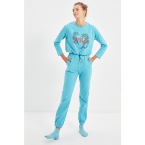 Trendyol Blue Recycle Fabric Knitted Printed Pajamas Set