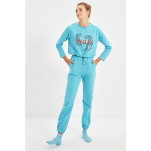 Trendyol Blue Recycle Fabric Knitted Printed Pajamas Set