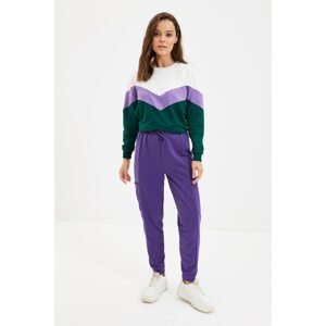 Trendyol Purple Knitted Sweatpants