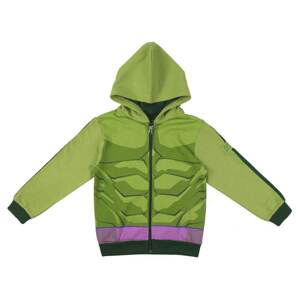 HOODIE COTTON BRUSHED AVENGERS HULK