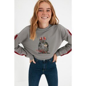 Trendyol Gray Printed Basic Knitted Sweatshirt