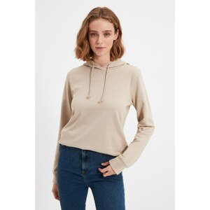 Trendyol Stone 100% Organic Cotton Basic Hooded Knitted Sweatshirt