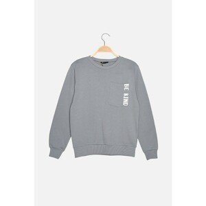 Trendyol Gray 100% Organic Cotton Printed Basic Knitted Sweatshirt