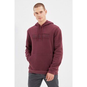 Trendyol Plum Men Regular Fit Long Sleeve Hooded Printed Sweatshirt