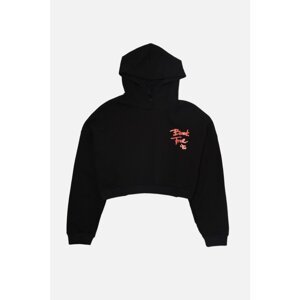 Trendyol Black Printed Hooded Crop Raised Knitted Sweatshirt