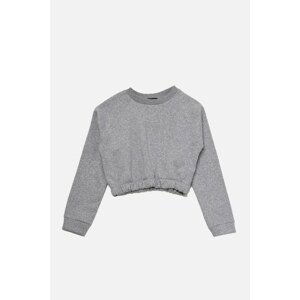 Trendyol Gray Raglan Sleeve Ragged Crop Knitted Thick Sweatshirt