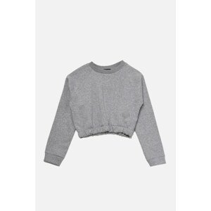 Trendyol Gray Raglan Sleeve Ragged Crop Knitted Thick Sweatshirt