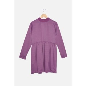 Trendyol Purple Petite Stand Up Knitted Dress