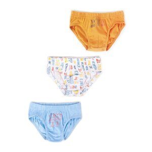 Yoclub Kids's Cotton Boys' Briefs Underwear 3-pack MC-24/BOY/001